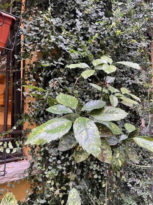 Loft Di Design Nel Cuore Di Milano Exterior photo